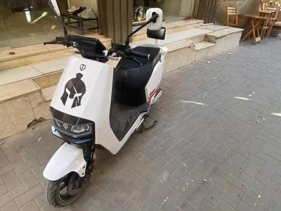 هامستر ٢٠٠٠ في القليوبية, طوخ - 33,000 جنيه