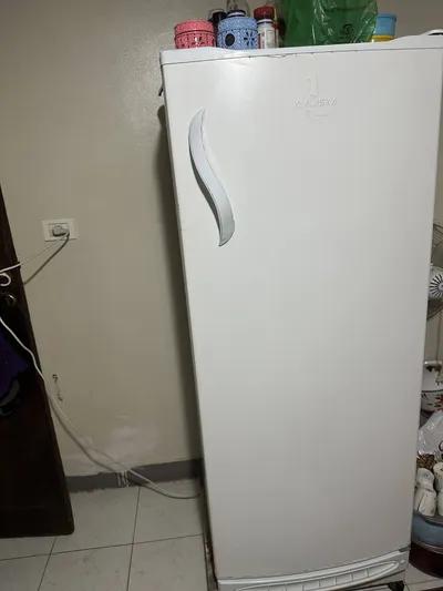 ثلاجه الاسكا في القاهرة, الدراسة - 5,000 جنيه