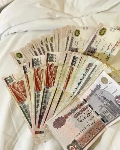 شغل للطلبه 🤍 في القاهرة, مدينة العبور - 8,000 جنيه