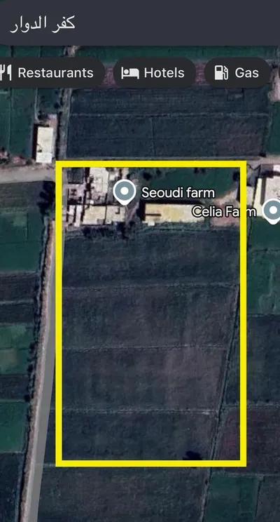 مزرعة فرصة للبيع في البحيرة, كفر الدوار - 57,000,000 جنيه