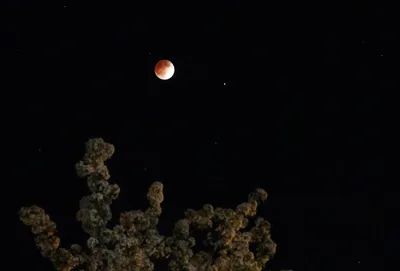 عايز شقه مفروشه للايجار لطلبه في حدائق المعادي تكون قريبه من المترو  in  المعادي,  حدائق المعادي - 5,000 EGP
