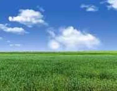 فدان زراعى للبيع على امتداد مستشفى الشرطه بطنطا في الغربية, طنطا - 8,400,000 جنيه