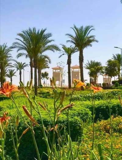 شقه للبيع بكمبوند المستقبل للضباط طريق مصر اسماعيلية عماره ٧٥٠ in القاهرة, مناطق اخرى في القاهرة - 3,300,000 EGP