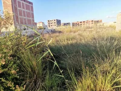 ارض للبيع في ابو تلات ش الاهرام  in الإسكندرية, أبو تلات - 1,000,000 EGP