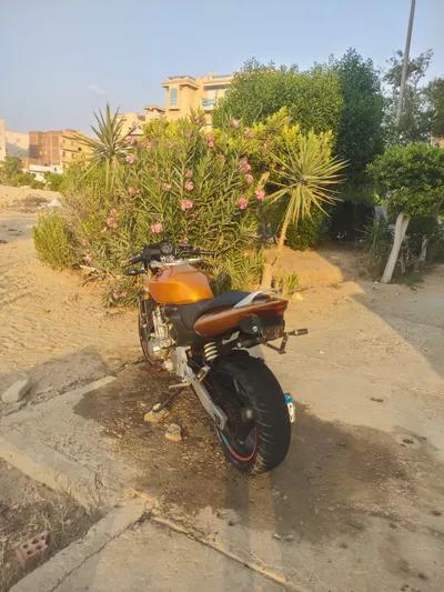 هوندا هورند 600 في المنوفية, السادات - 200,000 جنيه