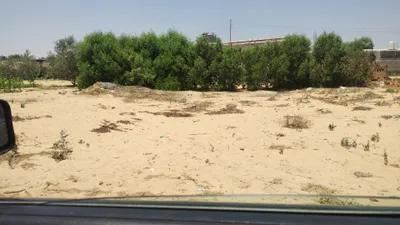 ارض للبيع جمعيه العاشر في الإسماعيلية, مدينة الإسماعيلية - 400,000 جنيه